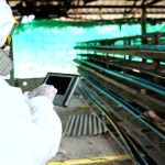 Why Businesses Choose Supernova Asbestos Surveys for Safety Compliance